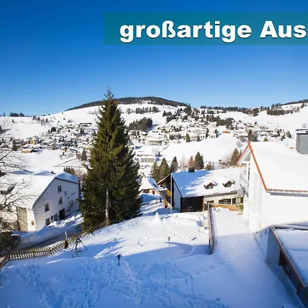 Wohlfuehl-Ferienwohnung 80 Qm, 8 Personen, Aussicht & Heimkino Todtnau Extérieur photo