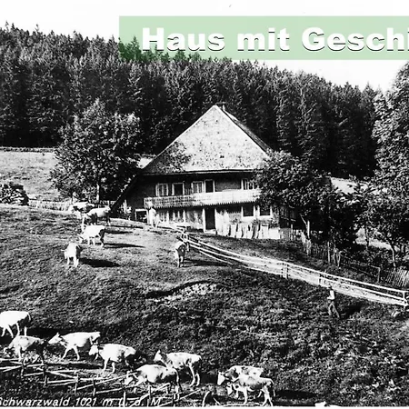 Wohlfuehl-Ferienwohnung 80 Qm, 8 Personen, Aussicht & Heimkino Todtnau Extérieur photo