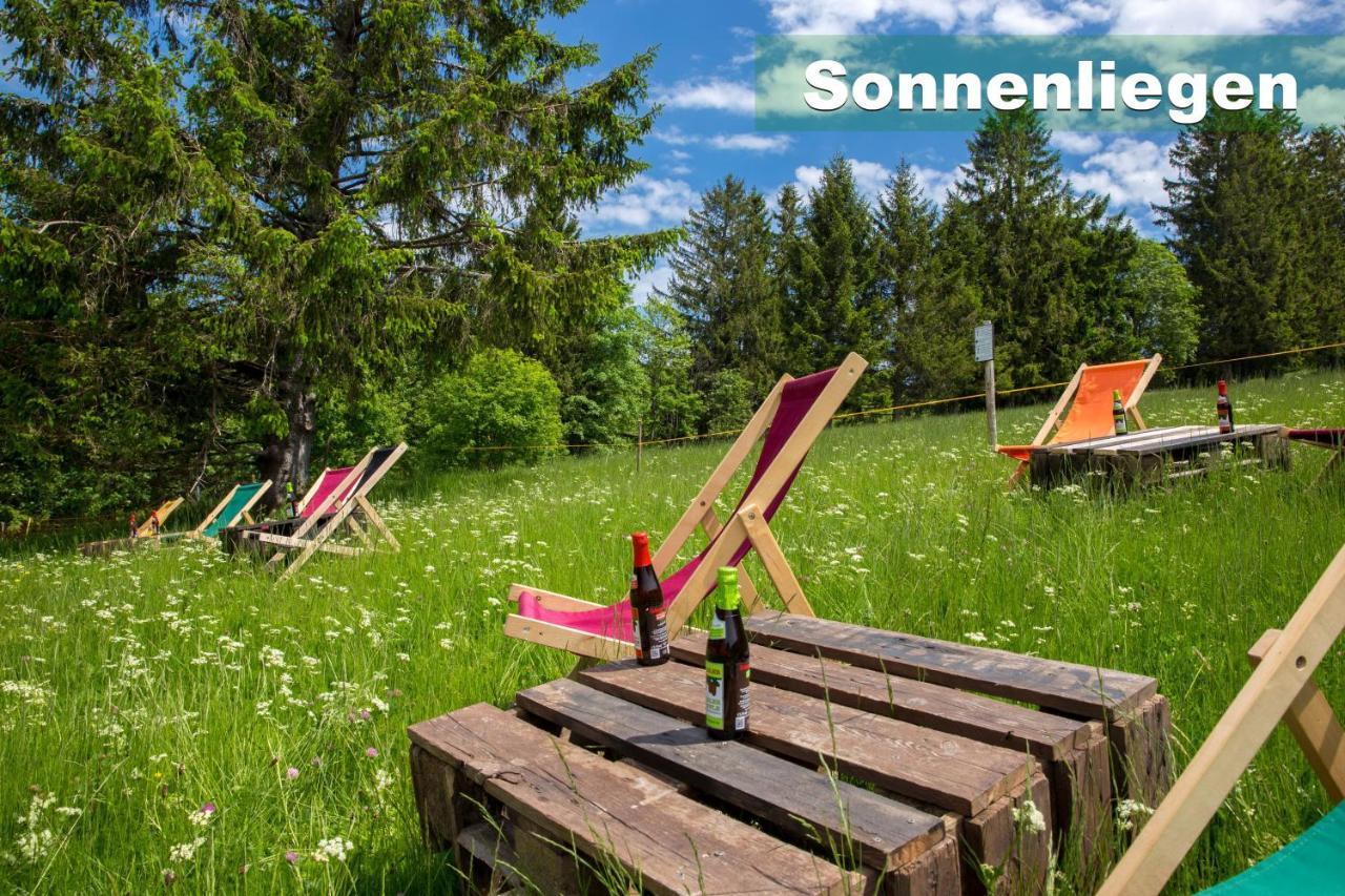 Wohlfuehl-ferienwohnung 80 Qm, 8 Personen, Aussicht & Heimkino * Todtnau