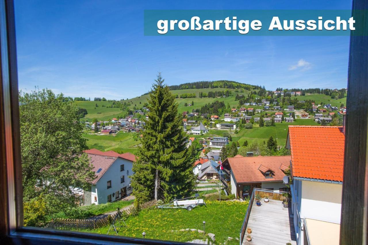 Apartment Wohlfuehl-ferienwohnung 80 Qm, 8 Personen, Aussicht & Heimkino Todtnau