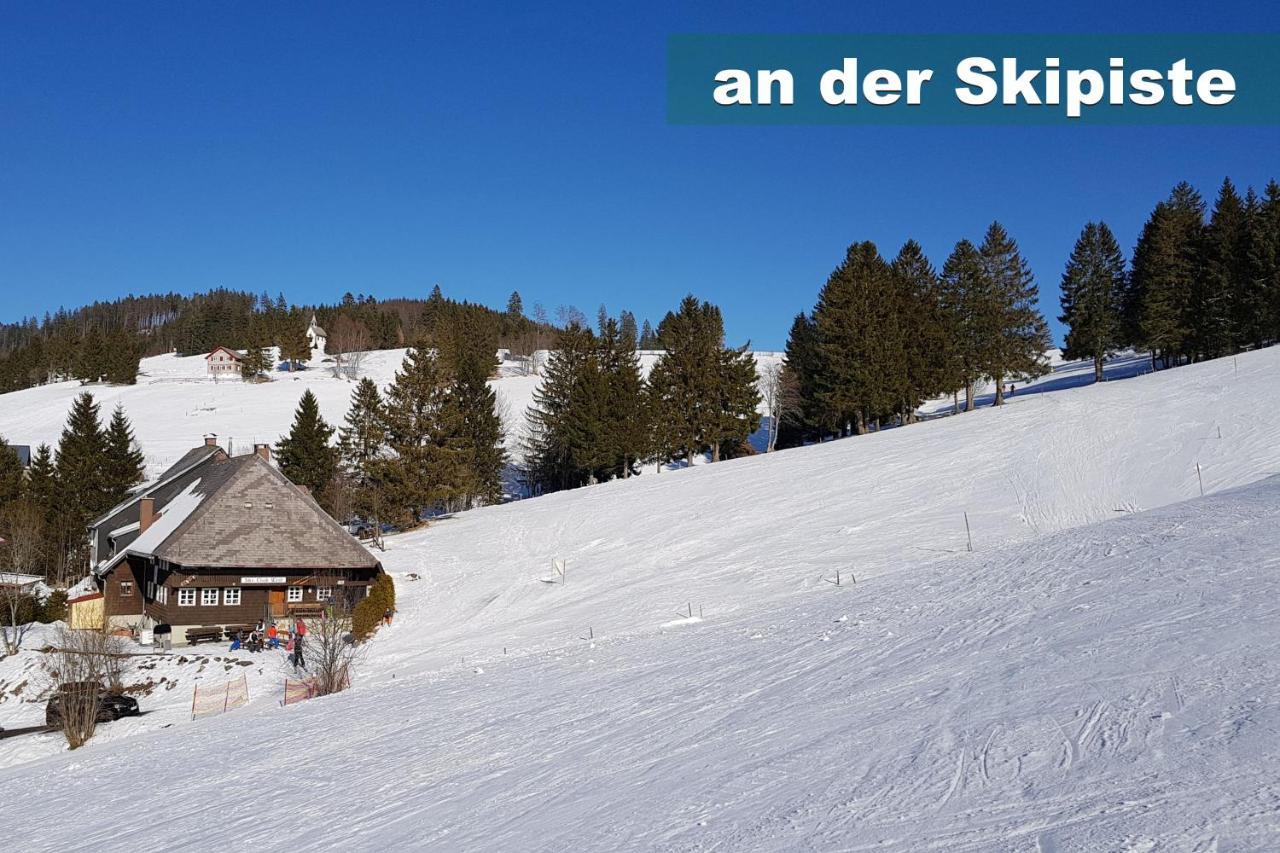 Apartment Wohlfuehl-ferienwohnung 80 Qm, 8 Personen, Aussicht & Heimkino Todtnau