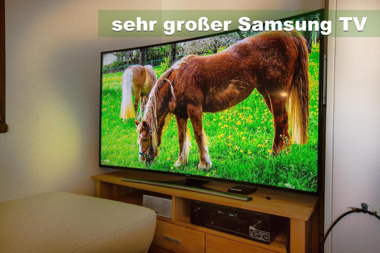 Wohlfuehl-ferienwohnung 80 Qm, 8 Personen, Aussicht & Heimkino Todtnau
