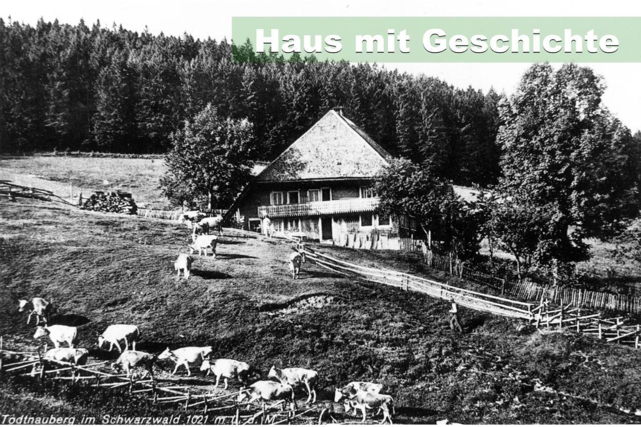 Apartment Wohlfuehl-ferienwohnung 80 Qm, 8 Personen, Aussicht & Heimkino *