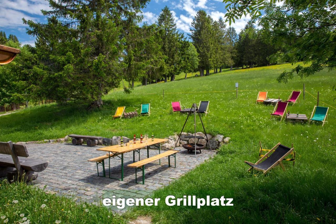 Wohlfuehl-ferienwohnung 80 Qm, 8 Personen, Aussicht & Heimkino * Todtnau