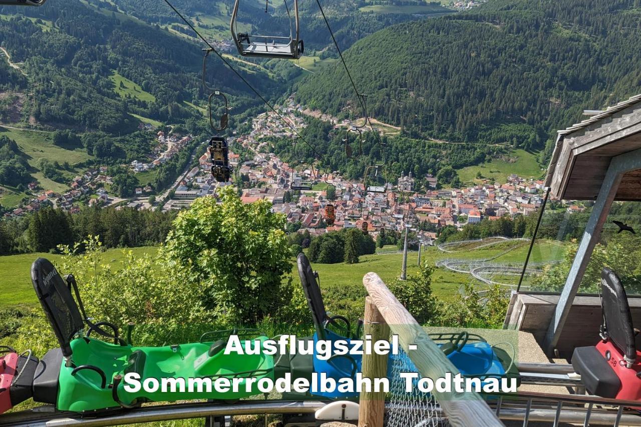 Wohlfuehl-ferienwohnung 80 Qm, 8 Personen, Aussicht & Heimkino * Todtnau